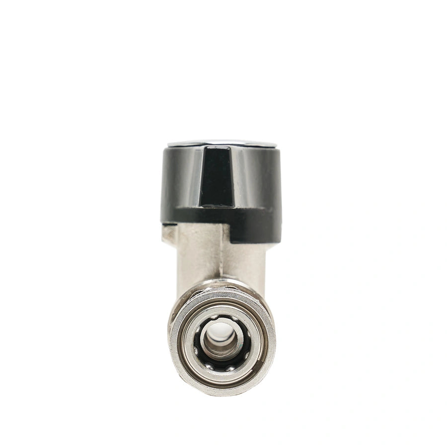 DN10 Ball Valve with SS Quick Connects